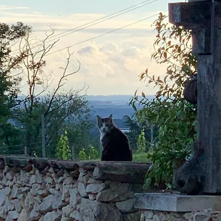 La Dependance De Bazin * Marmande