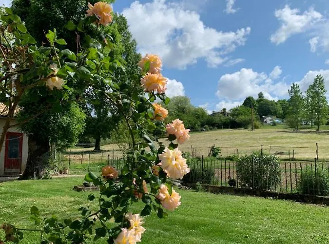 La Dependance De Bazin * マルマンド